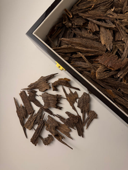 جمبو موري هندي XL