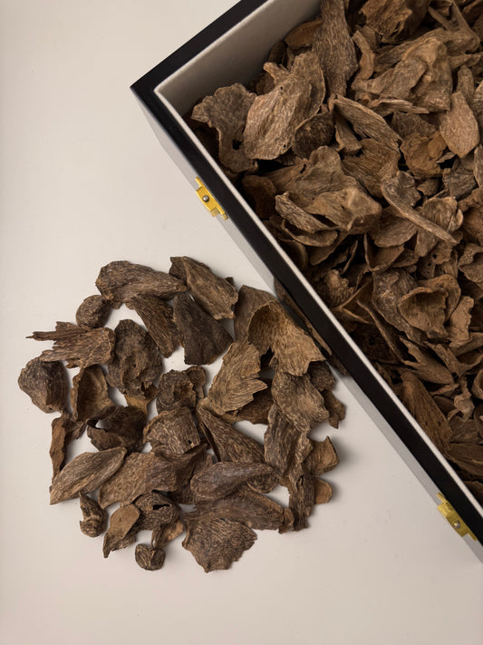 سيلاني قواقع و موري فاخر