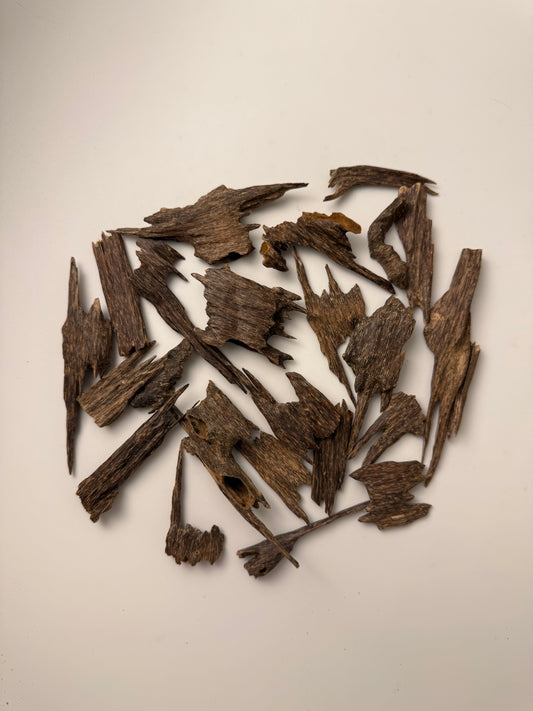 جمبو موري هندي XL