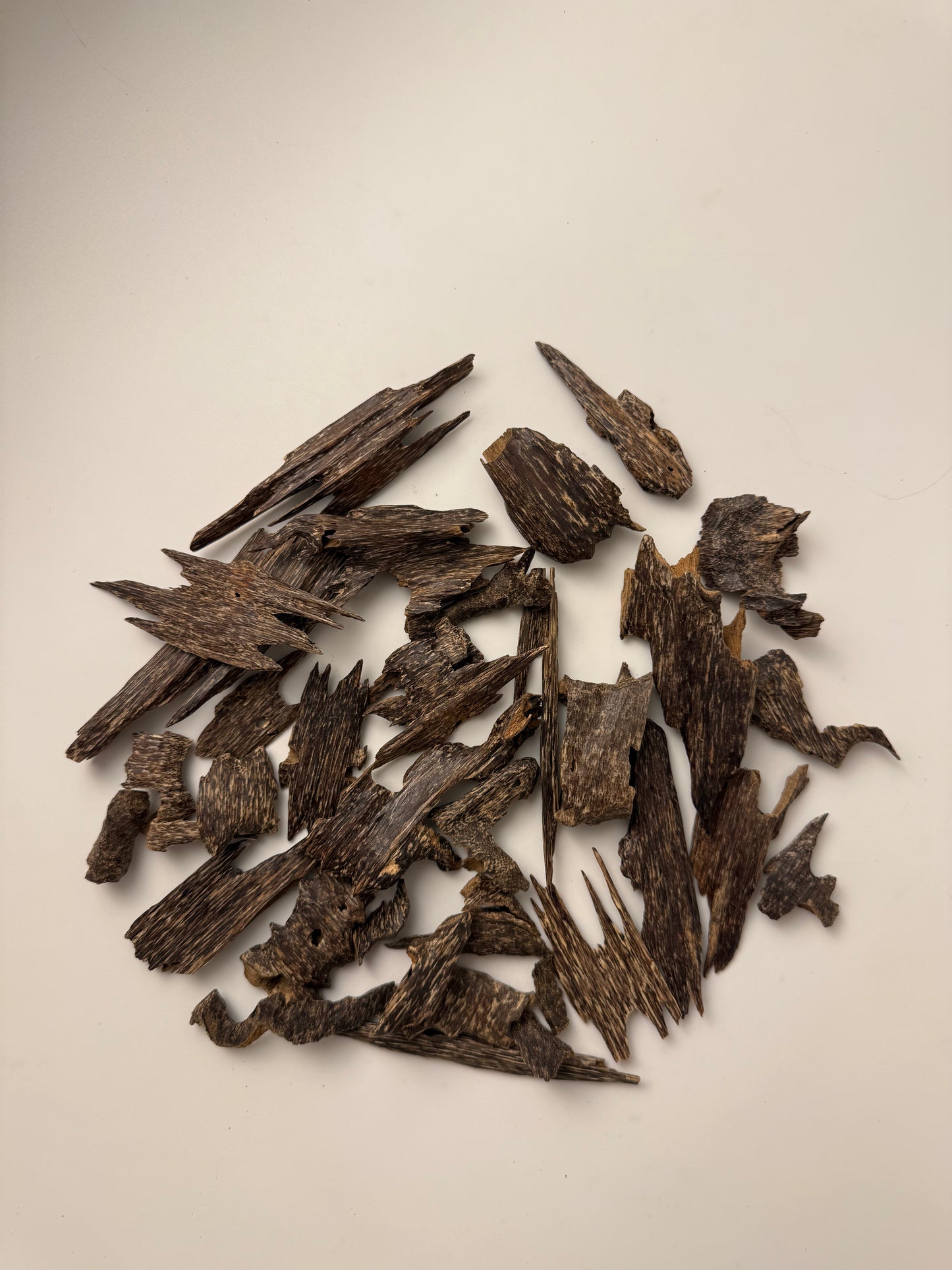 فيتنامي سيوفي و كنق موري