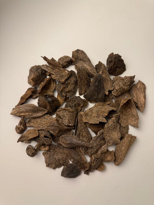 سيلاني قواقع و موري فاخر