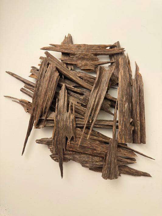 سيوفي نجالاند المجالس - هندي